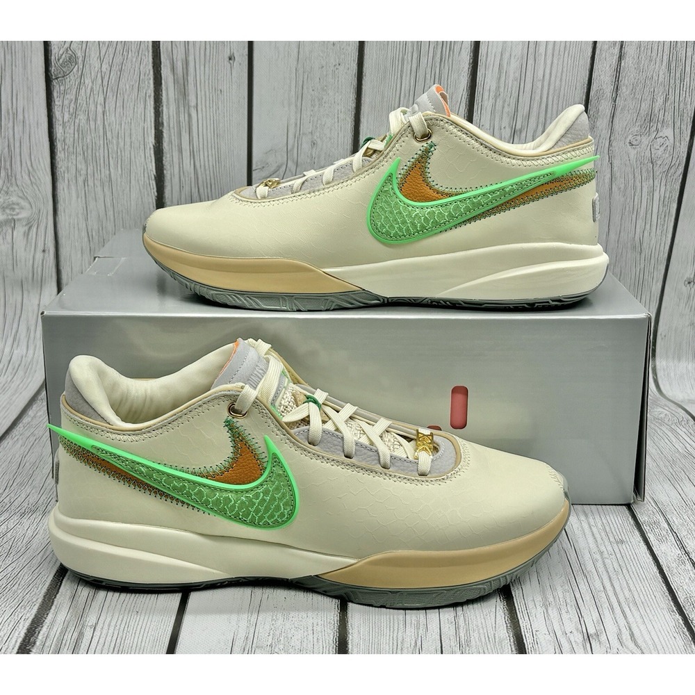 Nike x Florida A&M‎ Uni x LeBron 20 From Tally To The World Size 9.5 FN8263‑100